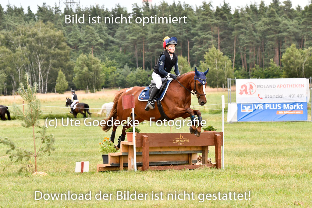 Goldene Schärpe Ponys in Hohenberg Krusemark 2024 | 13072024 Gelände 1 Abt_908