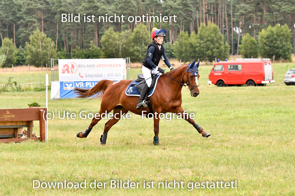 Goldene Schärpe Ponys in Hohenberg Krusemark 2024 | 13072024 Gelände 1 Abt_910