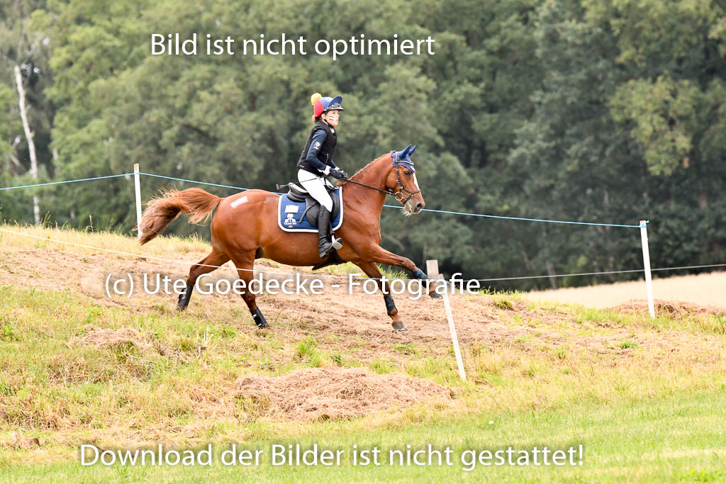 Goldene Schärpe Ponys in Hohenberg Krusemark 2024 | 13072024 Gelände 1 Abt_911