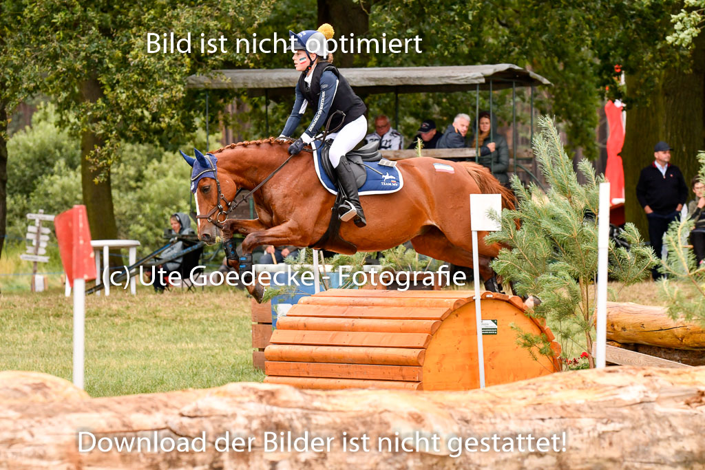 Goldene Schärpe Ponys in Hohenberg Krusemark 2024 | 13072024 Gelände 1 Abt_913