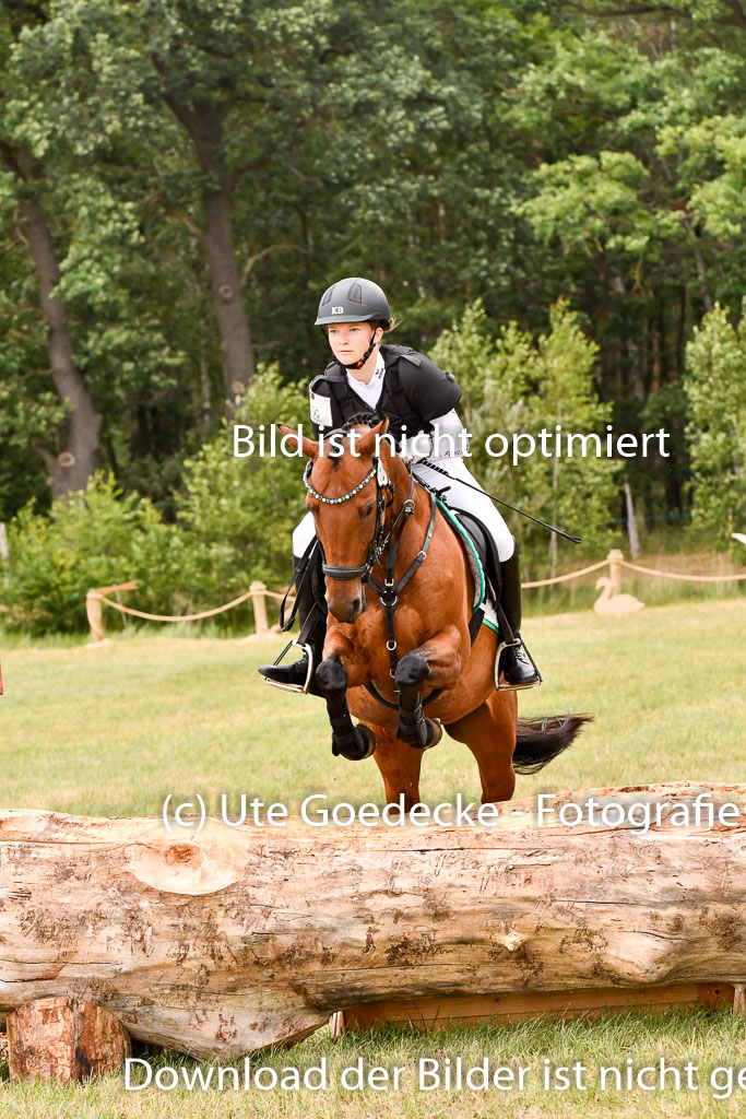 Goldene Schärpe Ponys in Hohenberg Krusemark 2024 | 13072024 Gelände 1 Abt_915 