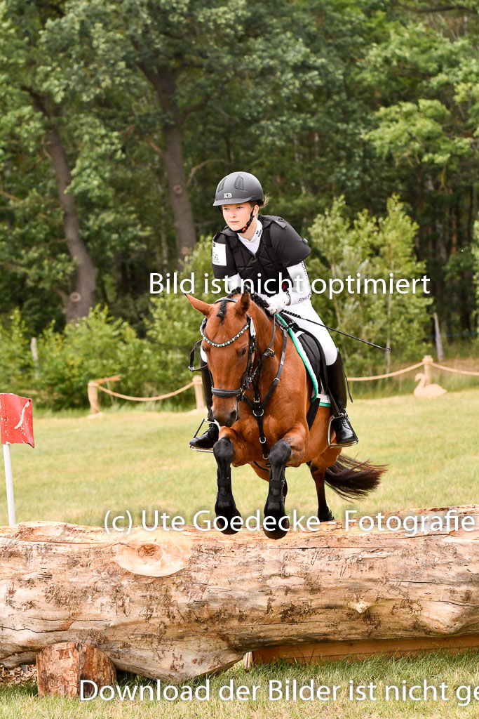 Goldene Schärpe Ponys in Hohenberg Krusemark 2024 | 13072024 Gelände 1 Abt_916