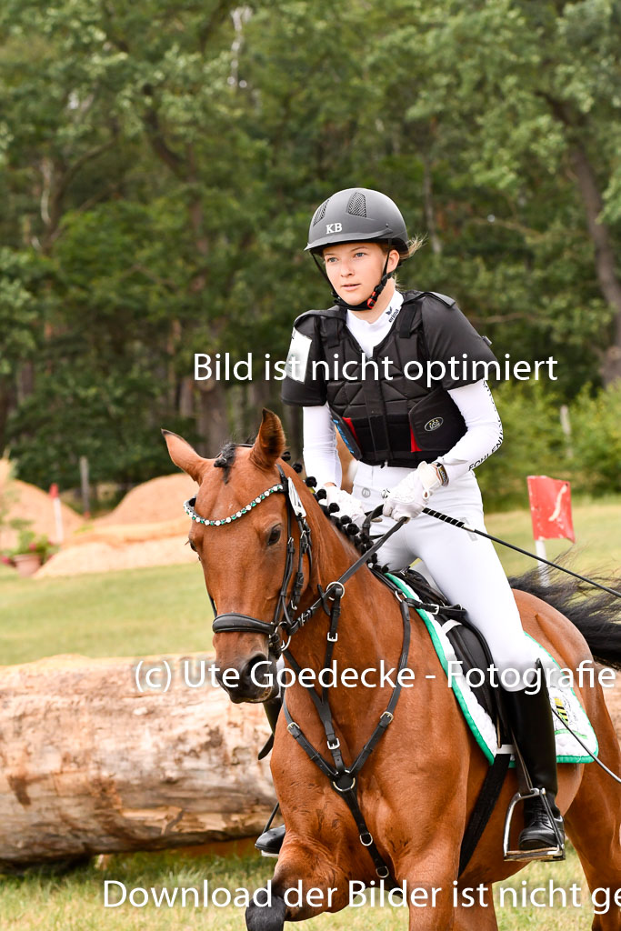 Goldene Schärpe Ponys in Hohenberg Krusemark 2024 | 13072024 Gelände 1 Abt_917 