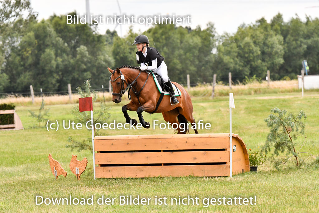 Goldene Schärpe Ponys in Hohenberg Krusemark 2024 | 13072024 Gelände 1 Abt_918 