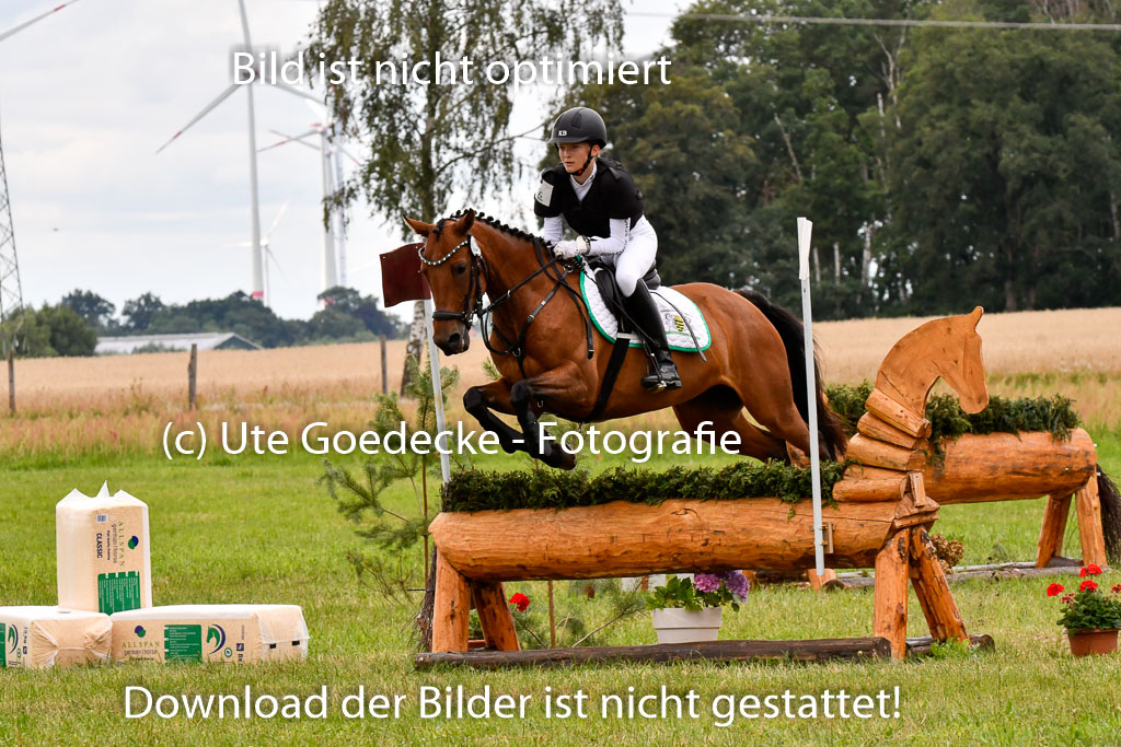 Goldene Schärpe Ponys in Hohenberg Krusemark 2024 | 13072024 Gelände 1 Abt_920