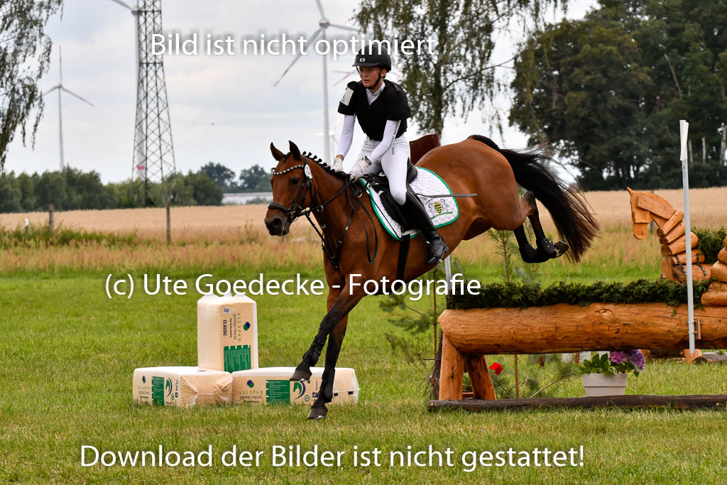 Goldene Schärpe Ponys in Hohenberg Krusemark 2024 | 13072024 Gelände 1 Abt_921