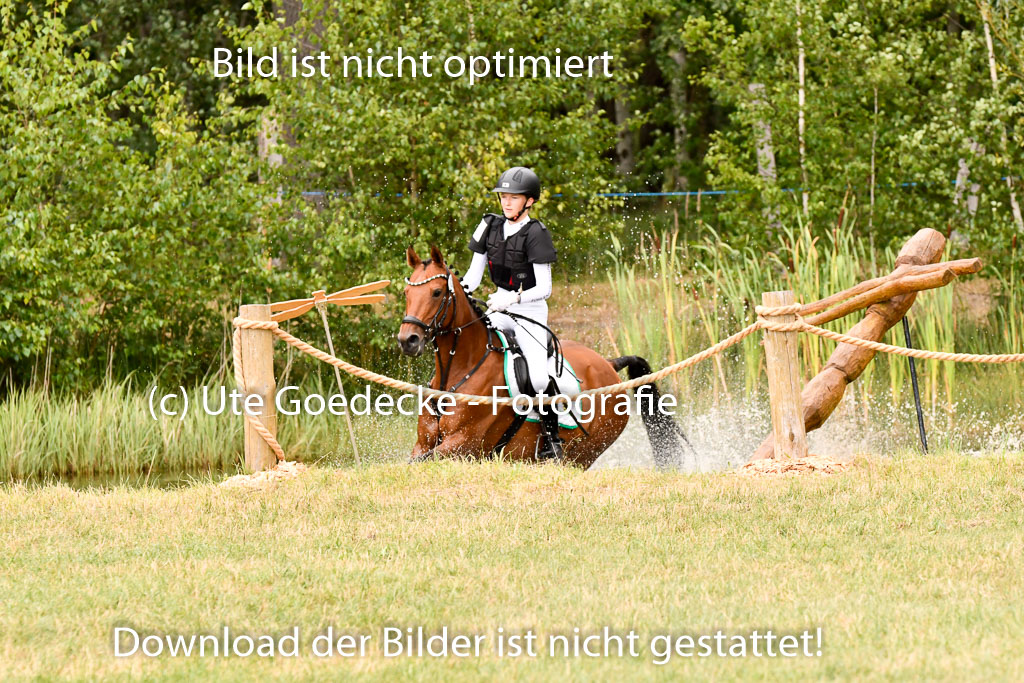 Goldene Schärpe Ponys in Hohenberg Krusemark 2024 | 13072024 Gelände 1 Abt_922 