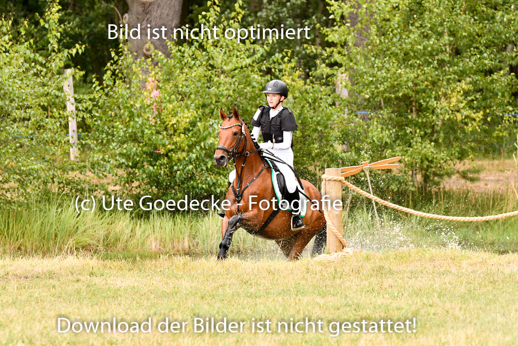 Goldene Schärpe Ponys in Hohenberg Krusemark 2024 | 13072024 Gelände 1 Abt_923