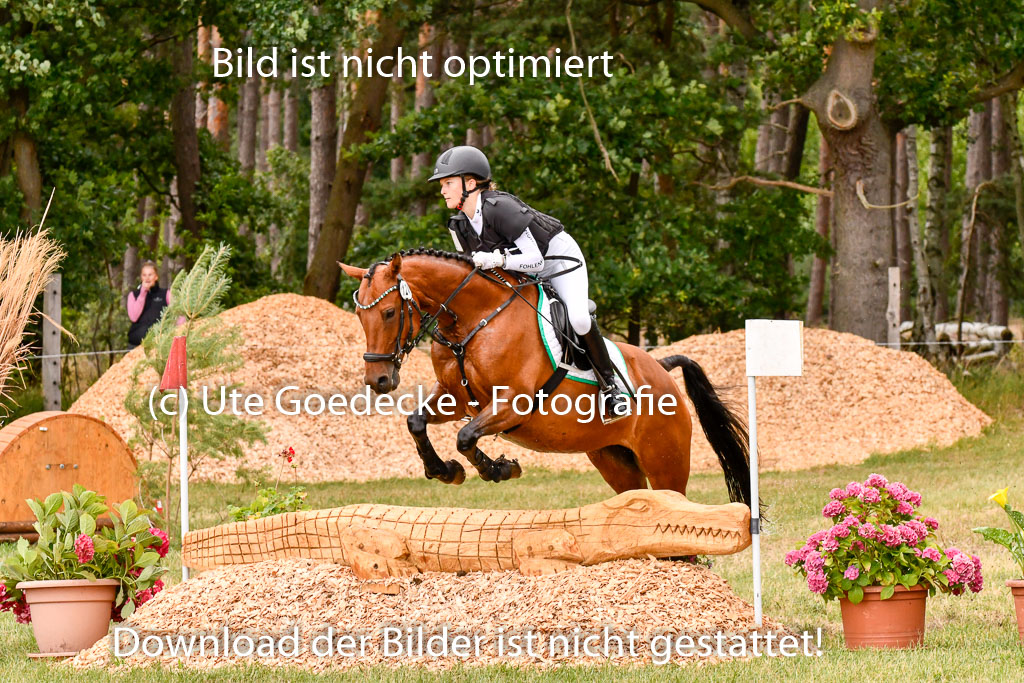 Goldene Schärpe Ponys in Hohenberg Krusemark 2024 | 13072024 Gelände 1 Abt_924 