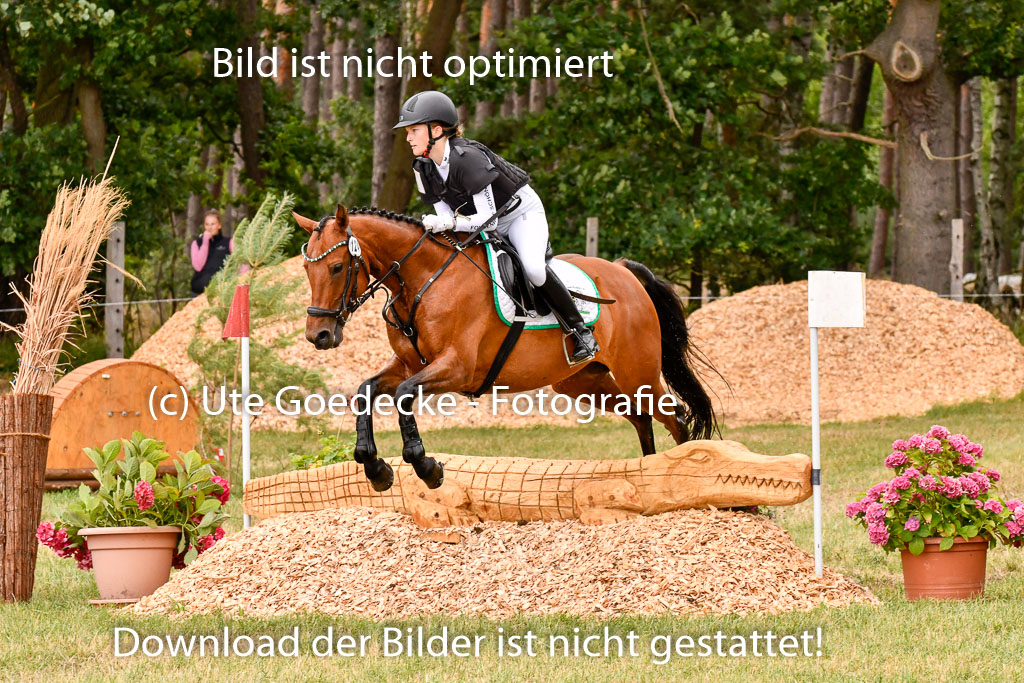 Goldene Schärpe Ponys in Hohenberg Krusemark 2024 | 13072024 Gelände 1 Abt_925