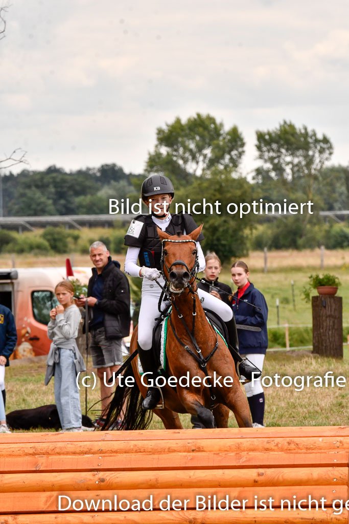 Goldene Schärpe Ponys in Hohenberg Krusemark 2024 | 13072024 Gelände 1 Abt_927