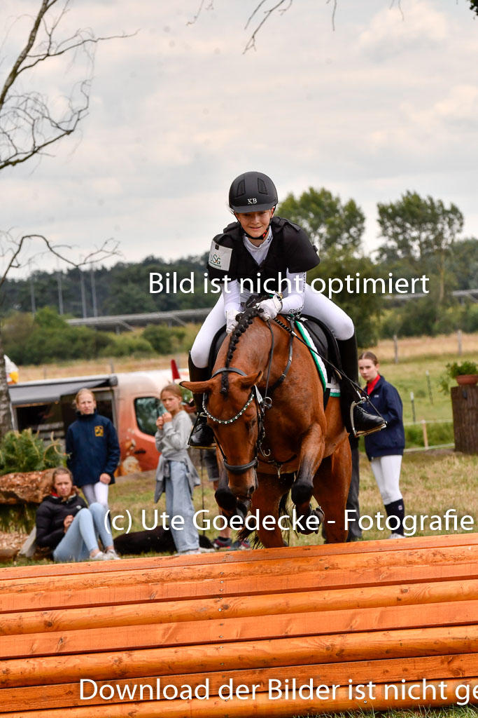 Goldene Schärpe Ponys in Hohenberg Krusemark 2024 | 13072024 Gelände 1 Abt_928