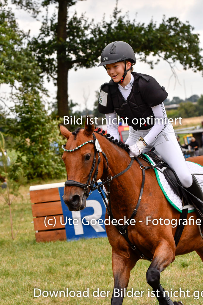 Goldene Schärpe Ponys in Hohenberg Krusemark 2024 | 13072024 Gelände 1 Abt_930 