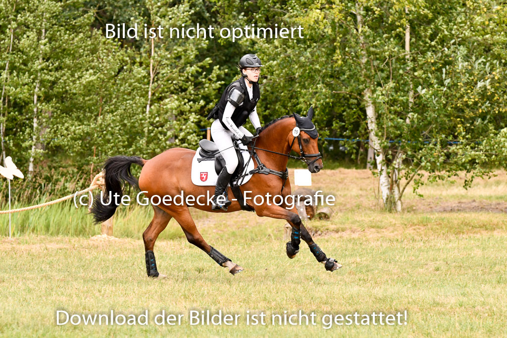 Goldene Schärpe Ponys in Hohenberg Krusemark 2024 | 13072024 Gelände 1 Abt_931