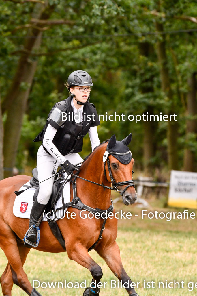 Goldene Schärpe Ponys in Hohenberg Krusemark 2024 | 13072024 Gelände 1 Abt_932 