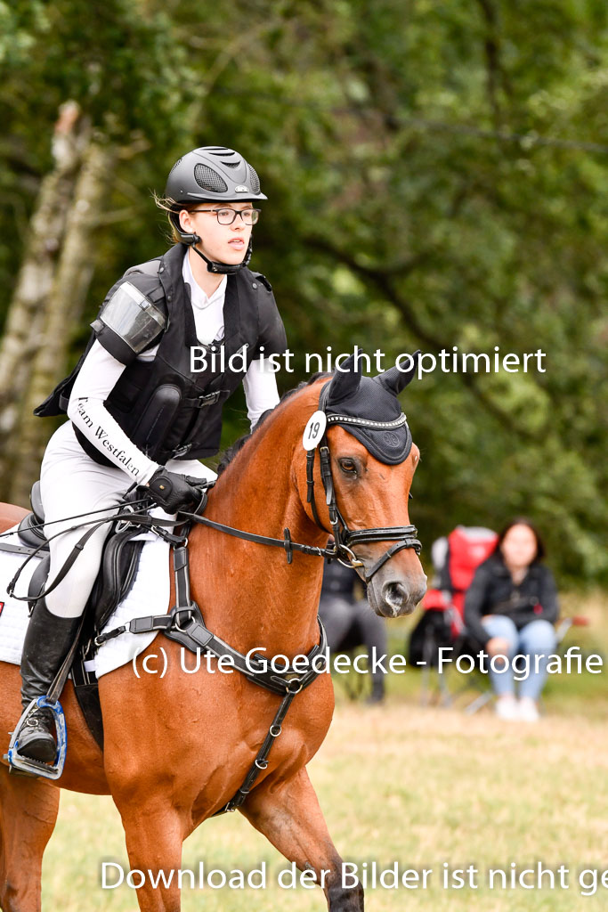 Goldene Schärpe Ponys in Hohenberg Krusemark 2024 | 13072024 Gelände 1 Abt_933