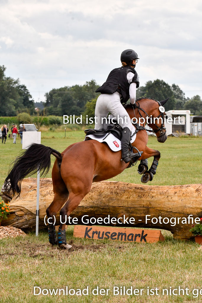 Goldene Schärpe Ponys in Hohenberg Krusemark 2024 | 13072024 Gelände 1 Abt_934