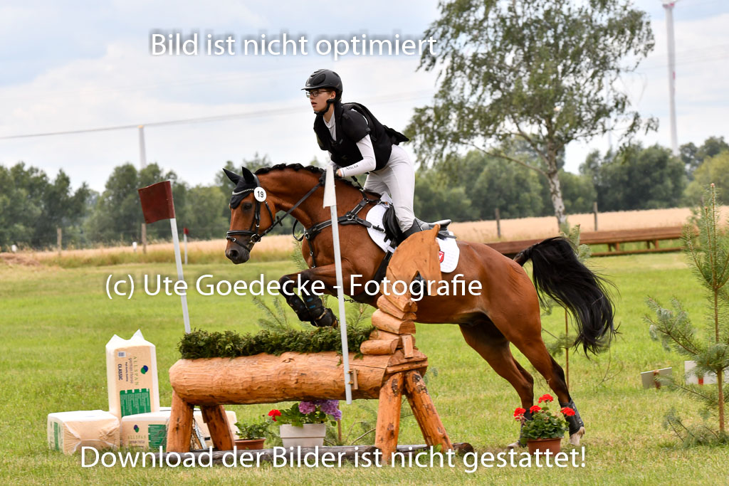 Goldene Schärpe Ponys in Hohenberg Krusemark 2024 | 13072024 Gelände 1 Abt_935