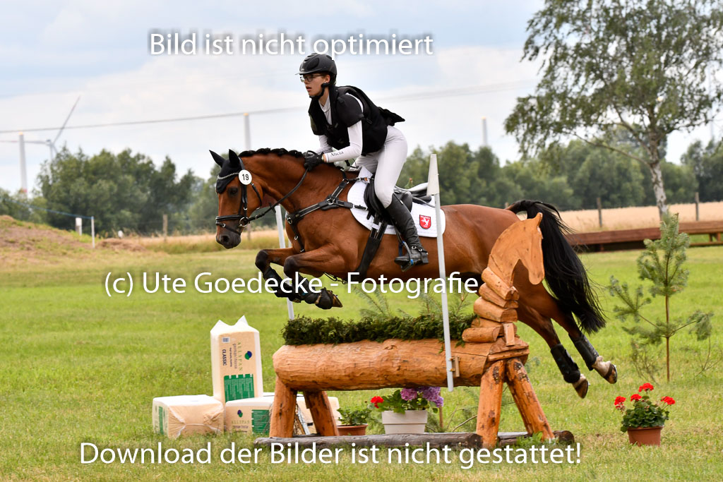 Goldene Schärpe Ponys in Hohenberg Krusemark 2024 | 13072024 Gelände 1 Abt_936 