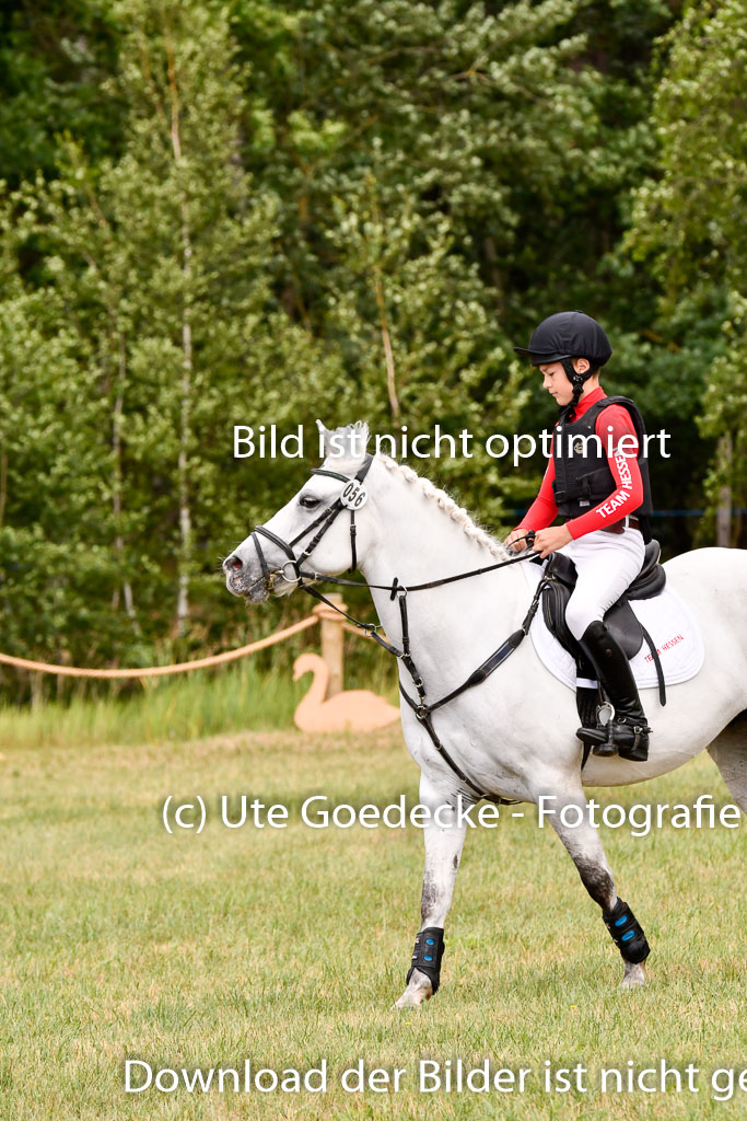 Goldene Schärpe Ponys in Hohenberg Krusemark 2024 | 13072024 Gelände 1 Abt_937