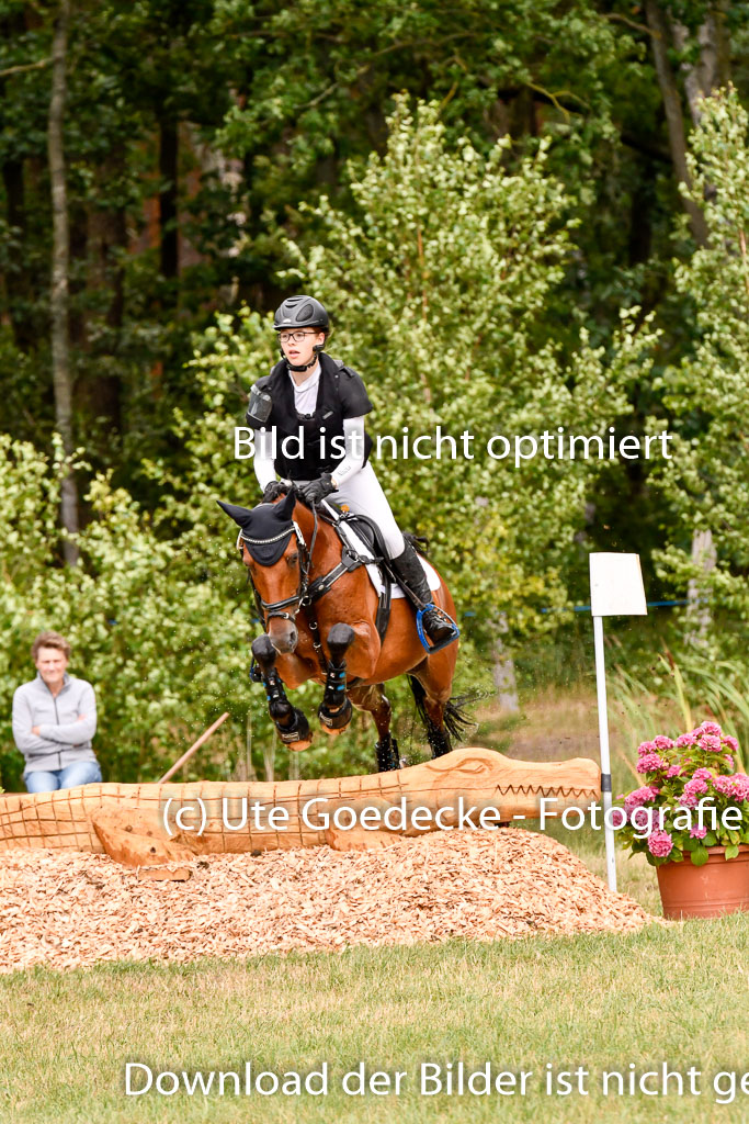 Goldene Schärpe Ponys in Hohenberg Krusemark 2024 | 13072024 Gelände 1 Abt_939