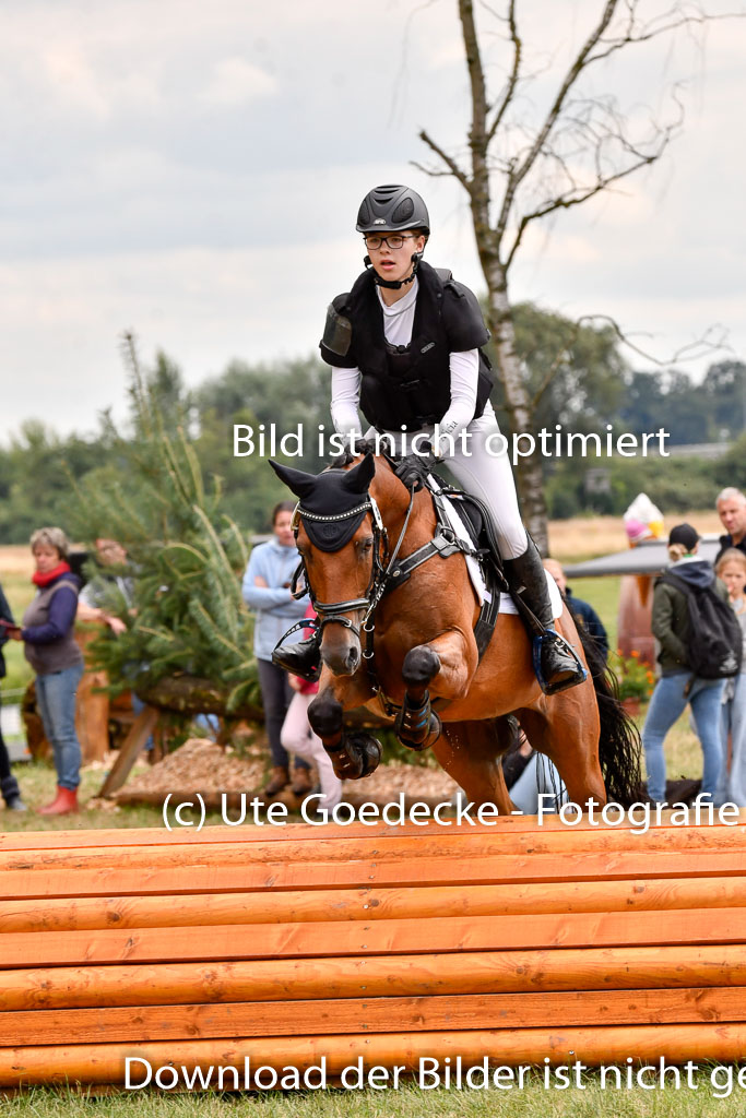 Goldene Schärpe Ponys in Hohenberg Krusemark 2024 | 13072024 Gelände 1 Abt_940