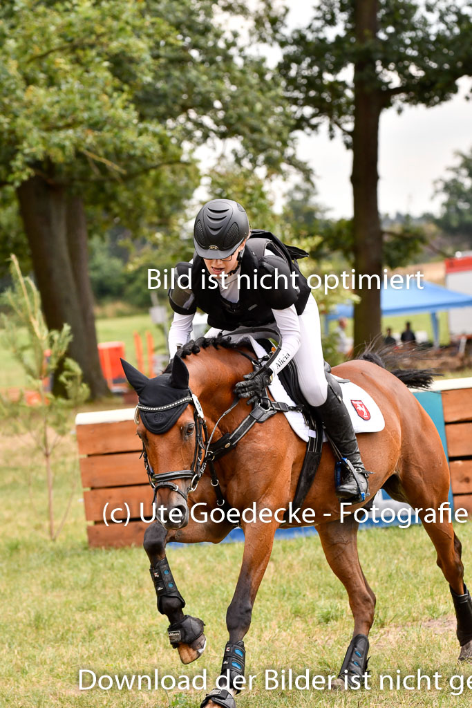 Goldene Schärpe Ponys in Hohenberg Krusemark 2024 | 13072024 Gelände 1 Abt_941 