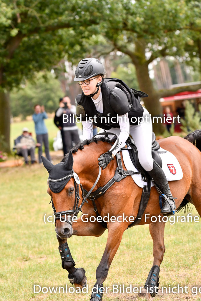 Goldene Schärpe Ponys in Hohenberg Krusemark 2024 | 13072024 Gelände 1 Abt_942 