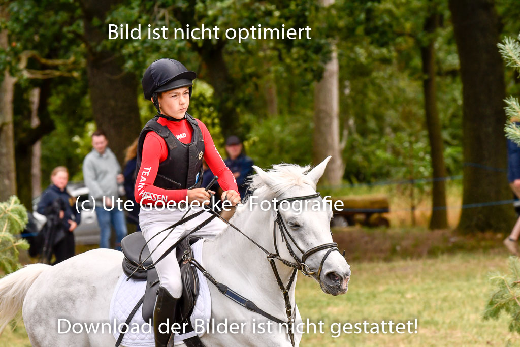 Goldene Schärpe Ponys in Hohenberg Krusemark 2024 | 13072024 Gelände 1 Abt_945 