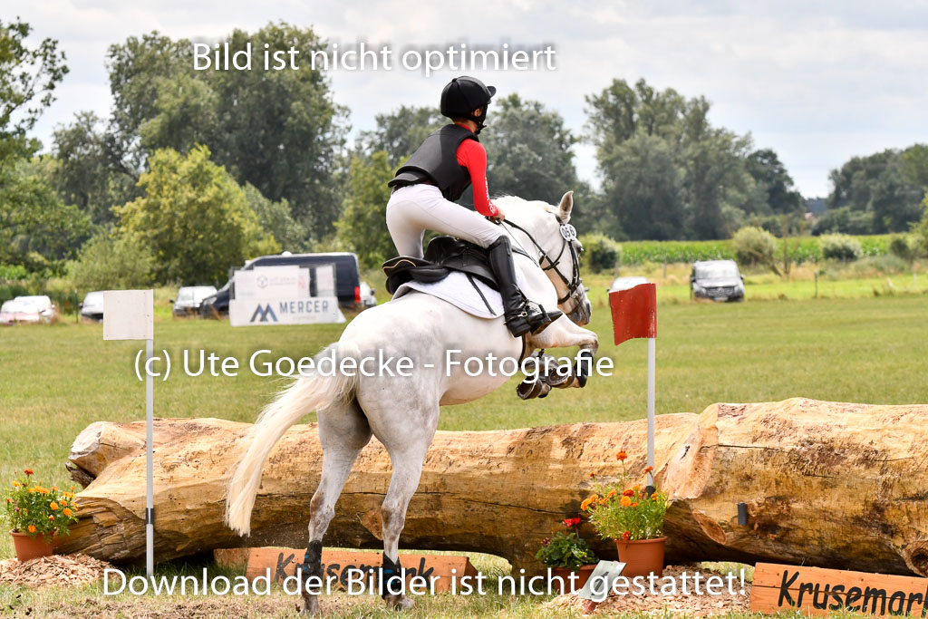 Goldene Schärpe Ponys in Hohenberg Krusemark 2024 | 13072024 Gelände 1 Abt_946