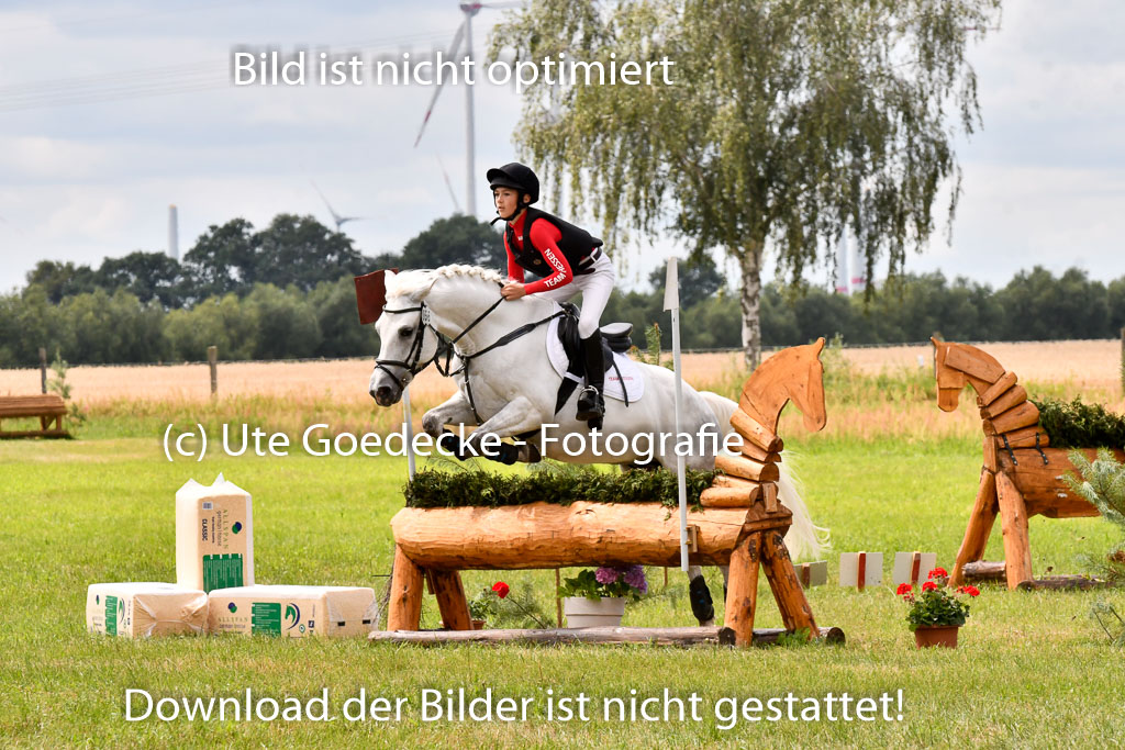 Goldene Schärpe Ponys in Hohenberg Krusemark 2024 | 13072024 Gelände 1 Abt_949 