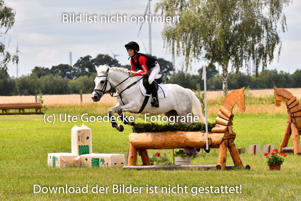 Goldene Schärpe Ponys in Hohenberg Krusemark 2024 | 13072024 Gelände 1 Abt_950