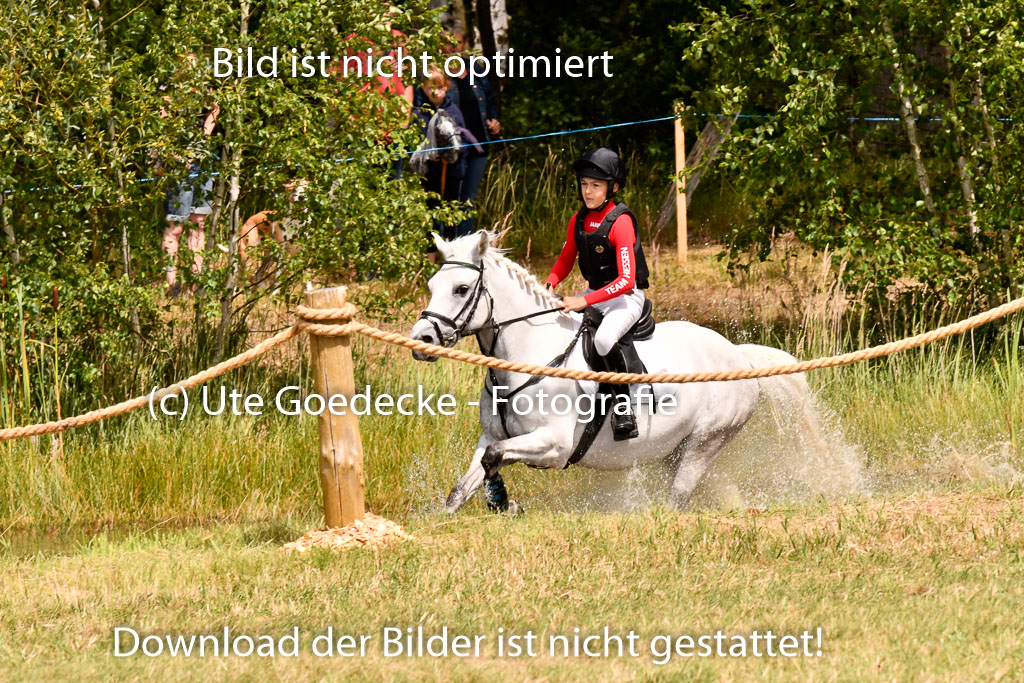 Goldene Schärpe Ponys in Hohenberg Krusemark 2024 | 13072024 Gelände 1 Abt_951