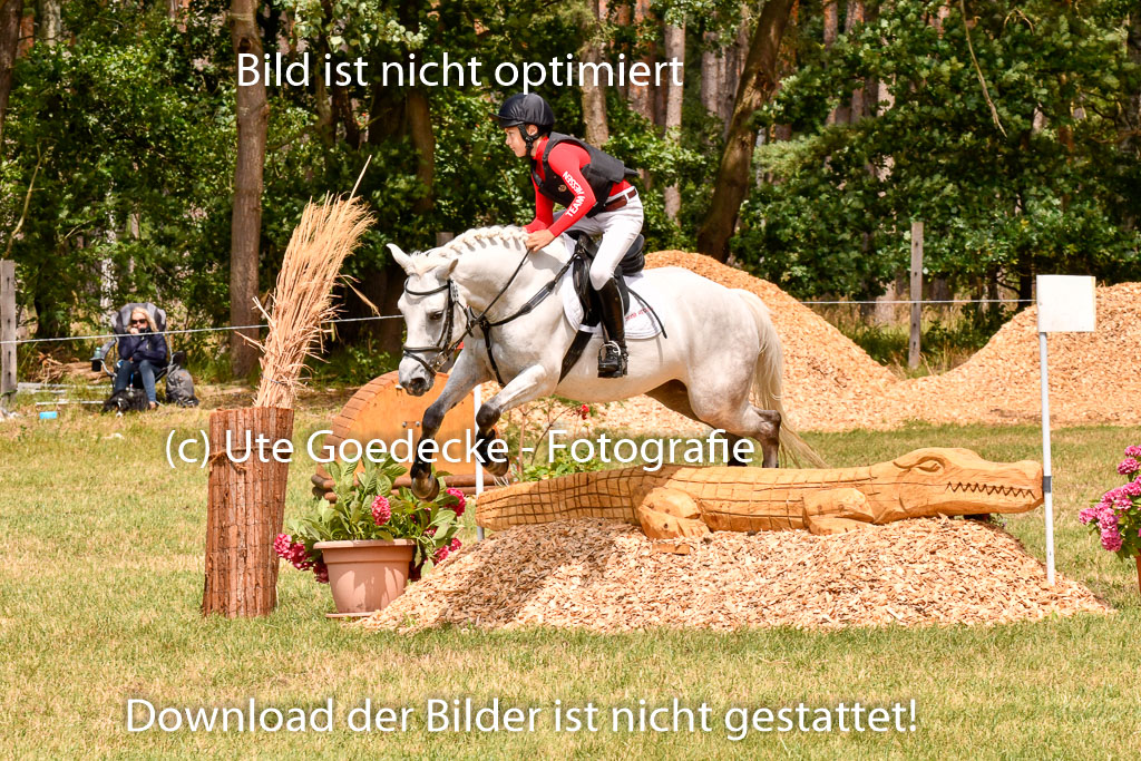Goldene Schärpe Ponys in Hohenberg Krusemark 2024 | 13072024 Gelände 1 Abt_954