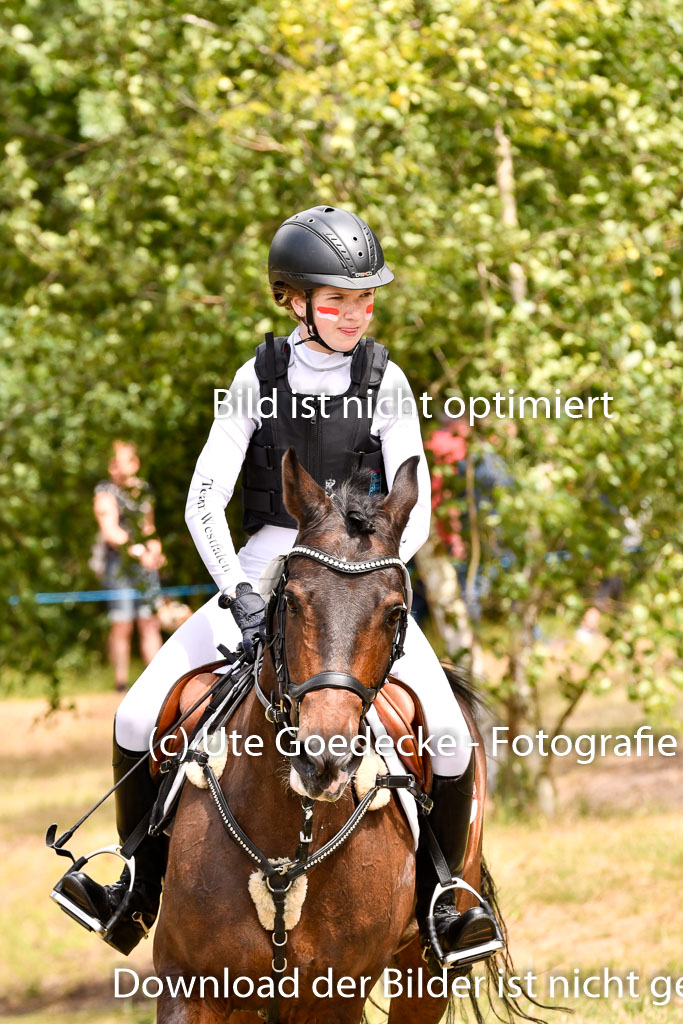 Goldene Schärpe Ponys in Hohenberg Krusemark 2024 | 13072024 Gelände 1 Abt_956