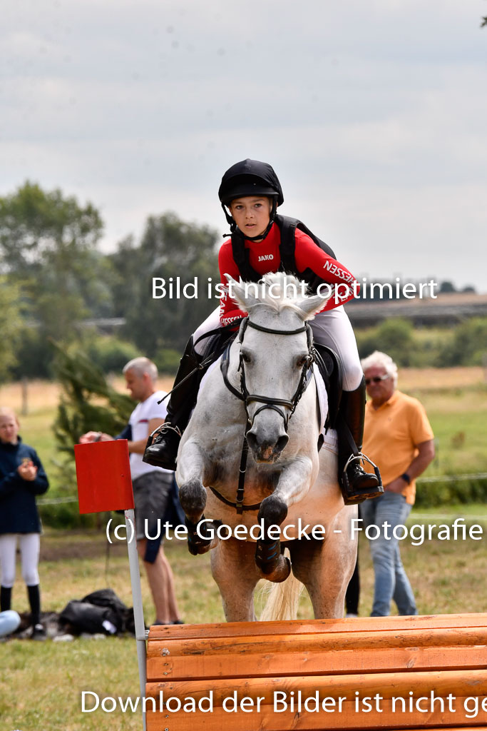 Goldene Schärpe Ponys in Hohenberg Krusemark 2024 | 13072024 Gelände 1 Abt_959 