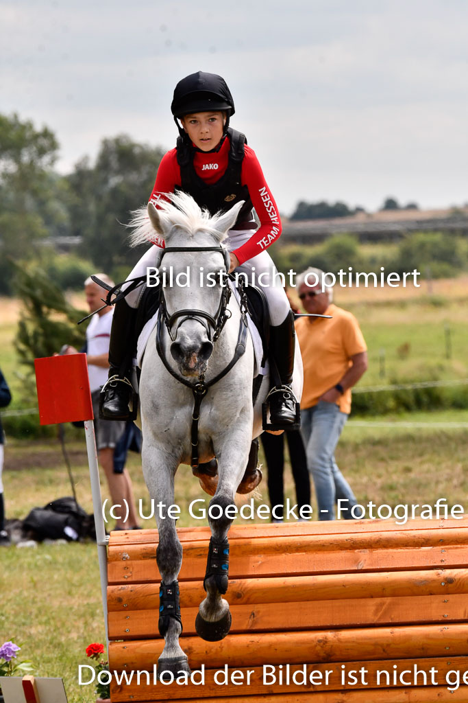 Goldene Schärpe Ponys in Hohenberg Krusemark 2024 | 13072024 Gelände 1 Abt_960