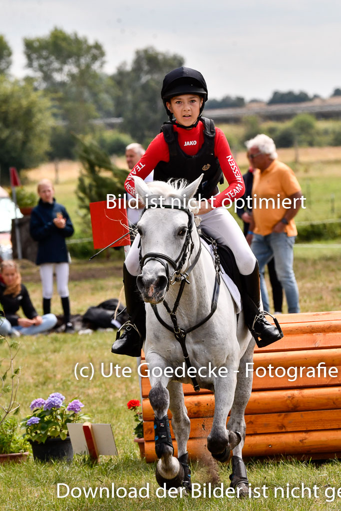 Goldene Schärpe Ponys in Hohenberg Krusemark 2024 | 13072024 Gelände 1 Abt_961