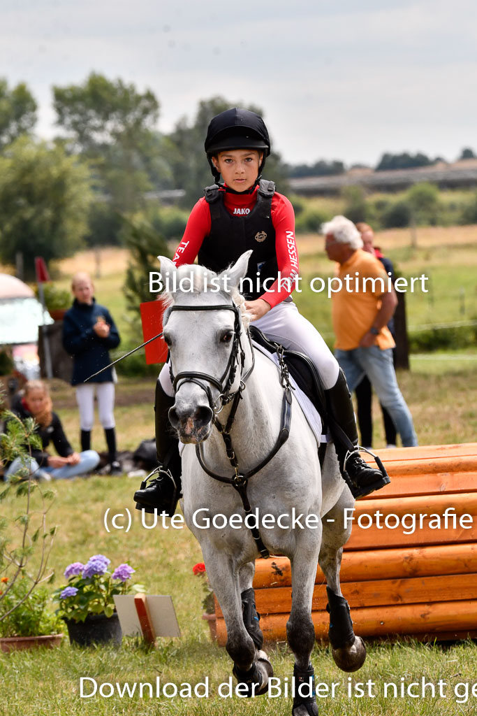 Goldene Schärpe Ponys in Hohenberg Krusemark 2024 | 13072024 Gelände 1 Abt_962 