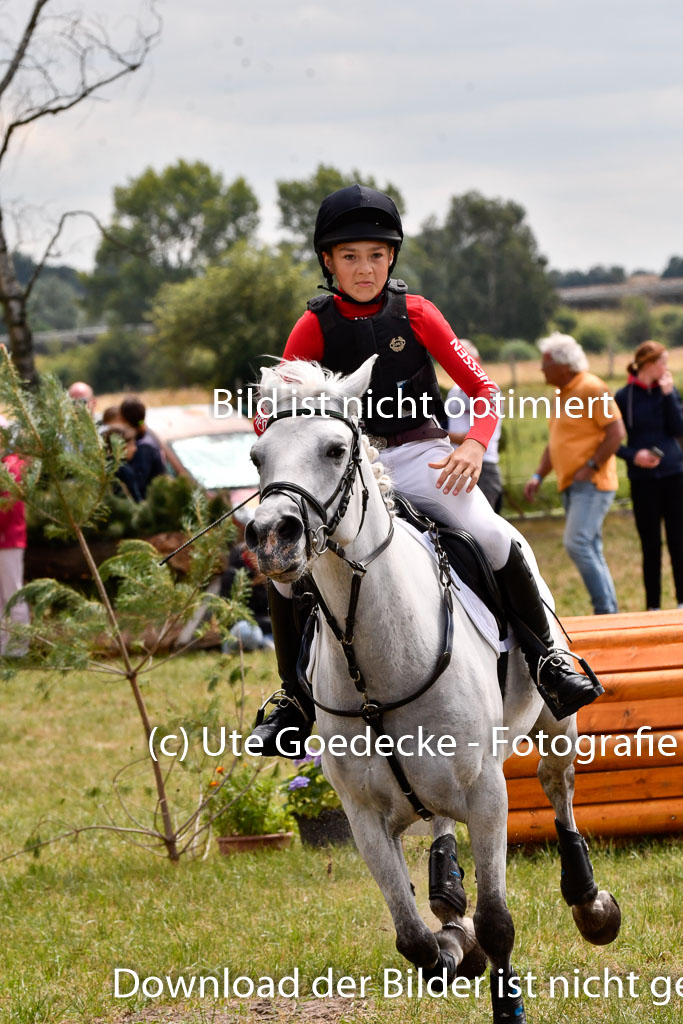 Goldene Schärpe Ponys in Hohenberg Krusemark 2024 | 13072024 Gelände 1 Abt_964