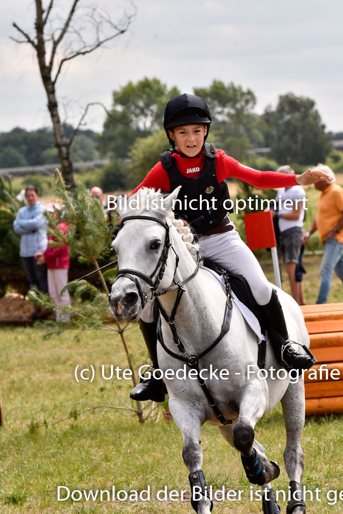 Goldene Schärpe Ponys in Hohenberg Krusemark 2024 | 13072024 Gelände 1 Abt_965 