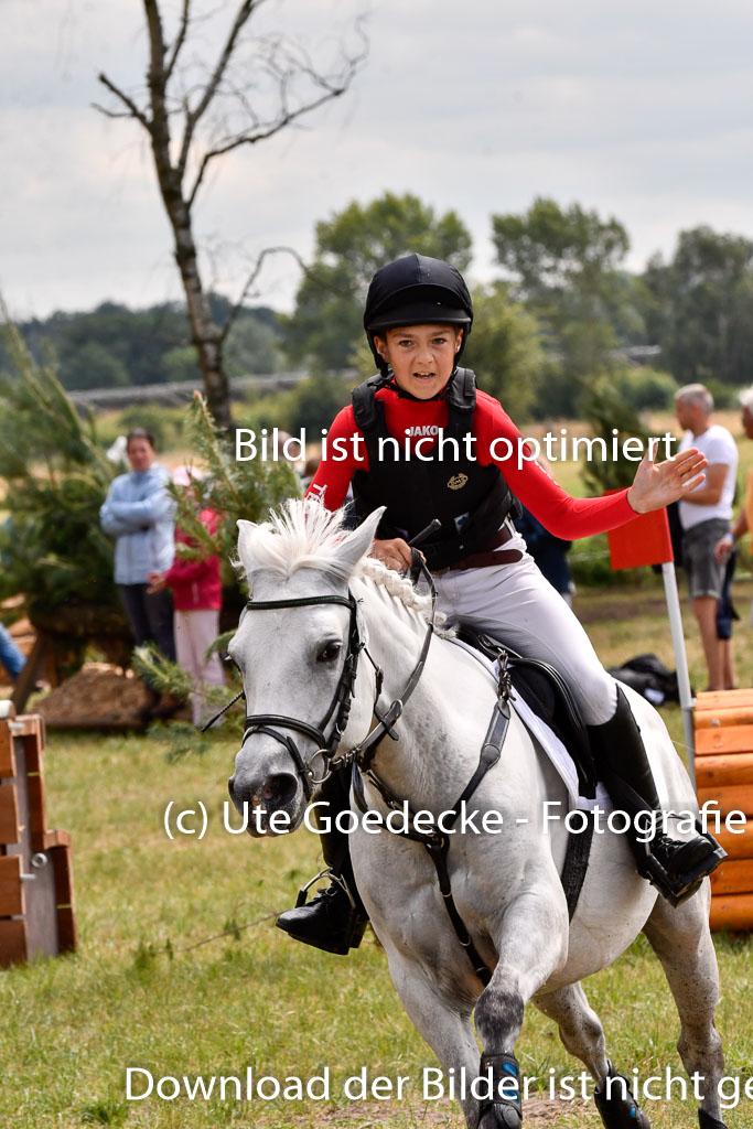 Goldene Schärpe Ponys in Hohenberg Krusemark 2024 | 13072024 Gelände 1 Abt_966 