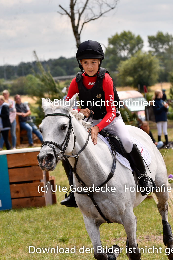 Goldene Schärpe Ponys in Hohenberg Krusemark 2024 | 13072024 Gelände 1 Abt_967