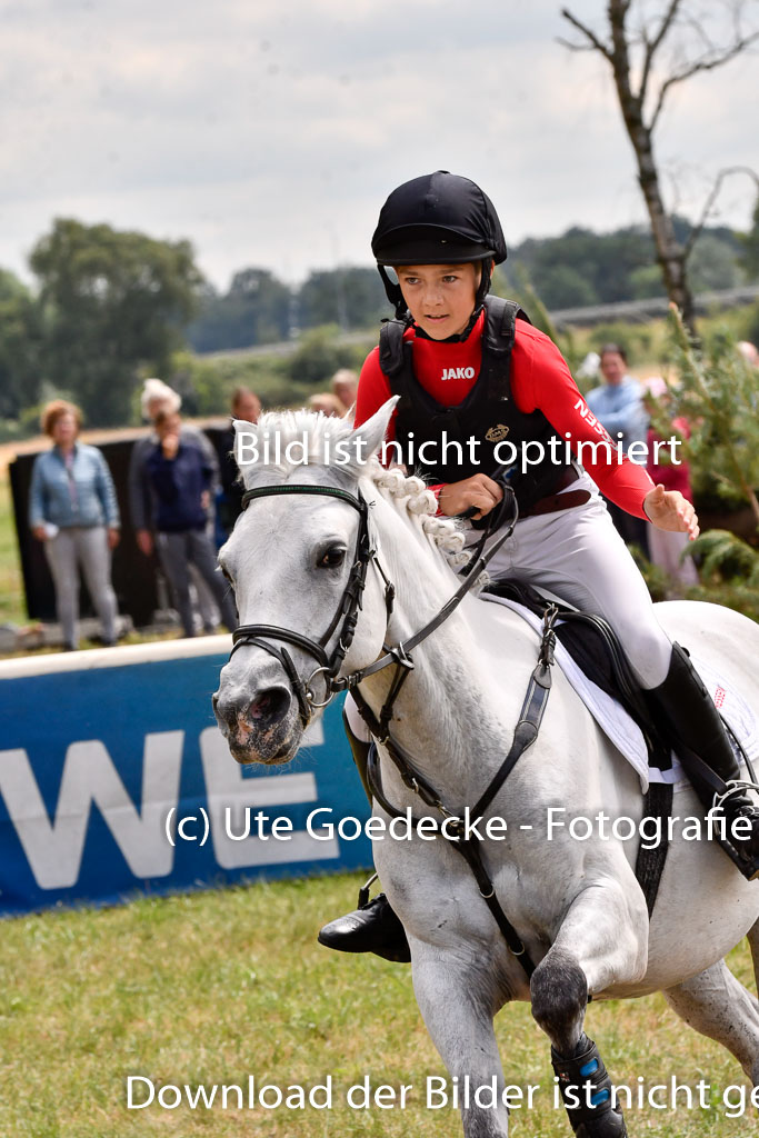 Goldene Schärpe Ponys in Hohenberg Krusemark 2024 | 13072024 Gelände 1 Abt_969 