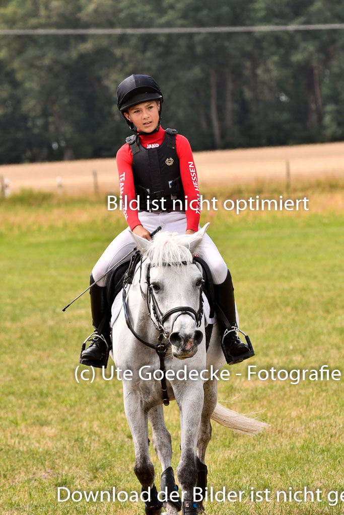 Goldene Schärpe Ponys in Hohenberg Krusemark 2024 | 13072024 Gelände 1 Abt_971