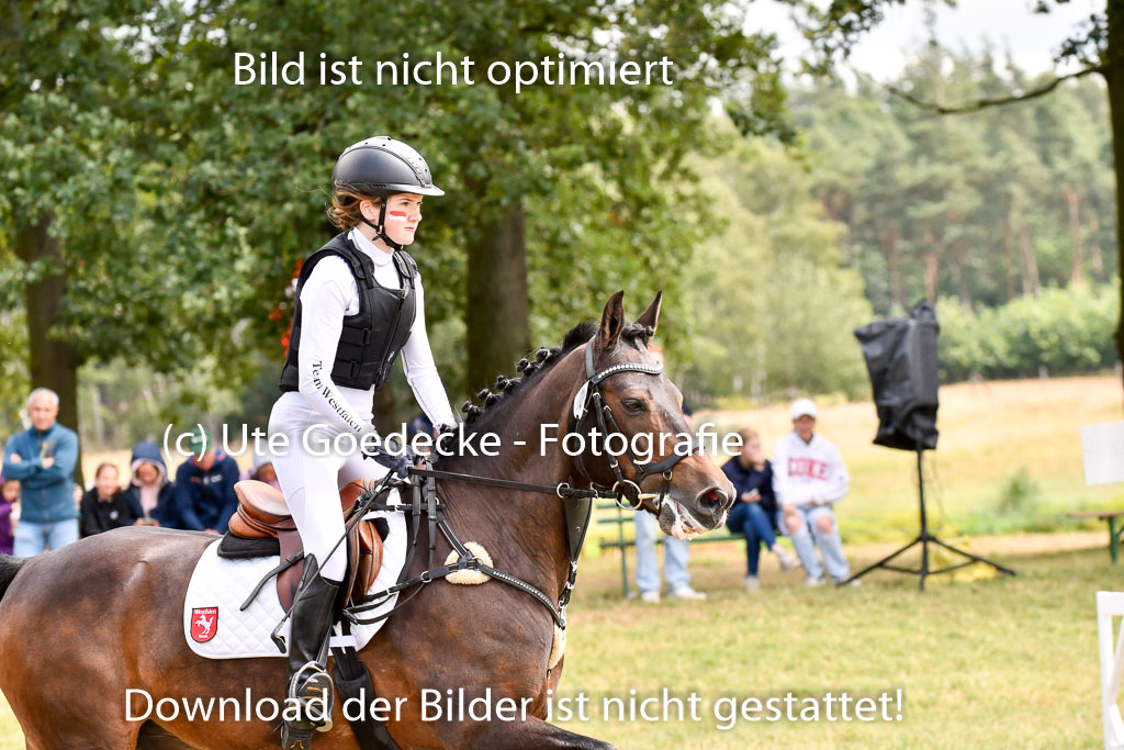 Goldene Schärpe Ponys in Hohenberg Krusemark 2024 | 13072024 Gelände 1 Abt_974 