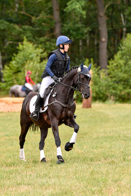 Goldene Schärpe Ponys in Hohenberg Krusemark 2024 | 13072024 Gelände 1 Abt 