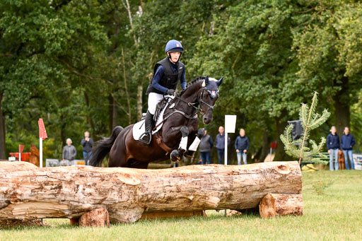 Goldene Schärpe Ponys in Hohenberg Krusemark 2024 | 13072024 Gelände 1 Abt_001 