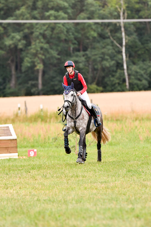 Goldene Schärpe Ponys in Hohenberg Krusemark 2024 | 13072024 Gelände 1 Abt_014 