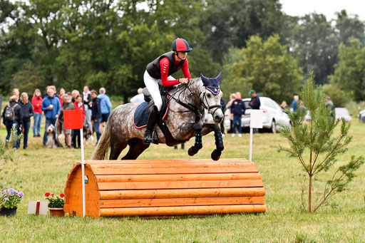 Goldene Schärpe Ponys in Hohenberg Krusemark 2024 | 13072024 Gelände 1 Abt_024 